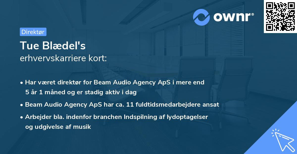 Tue Blædel's erhvervskarriere kort