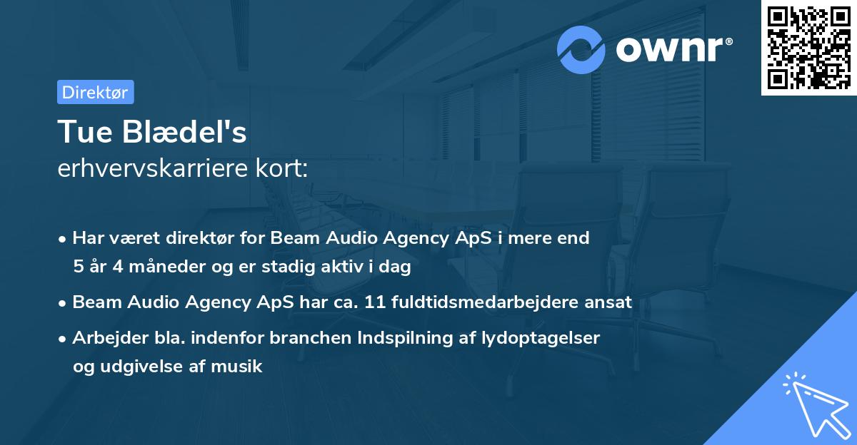 Tue Blædel's erhvervskarriere kort
