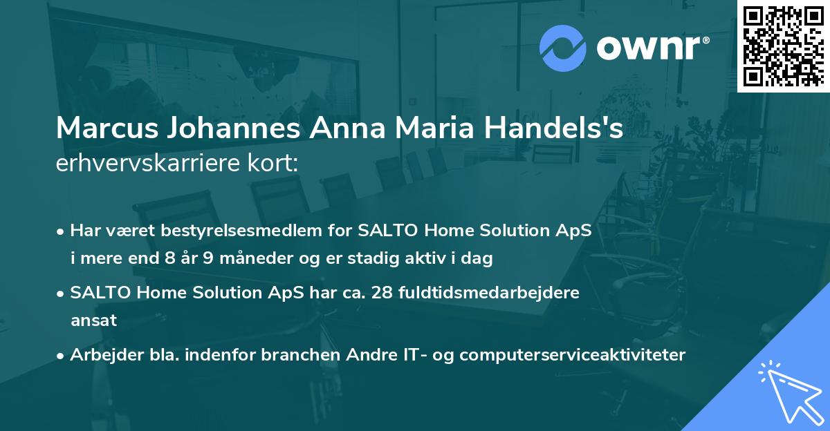 Marcus Johannes Anna Maria Handels's erhvervskarriere kort