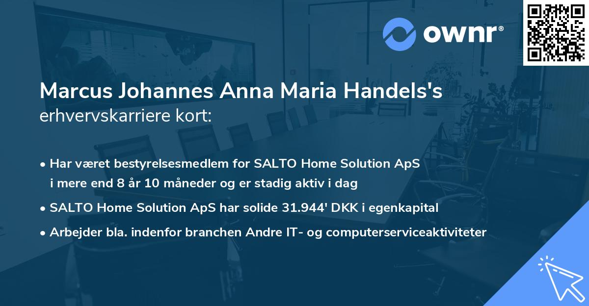 Marcus Johannes Anna Maria Handels's erhvervskarriere kort