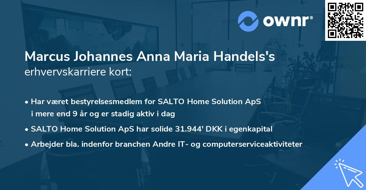 Marcus Johannes Anna Maria Handels's erhvervskarriere kort