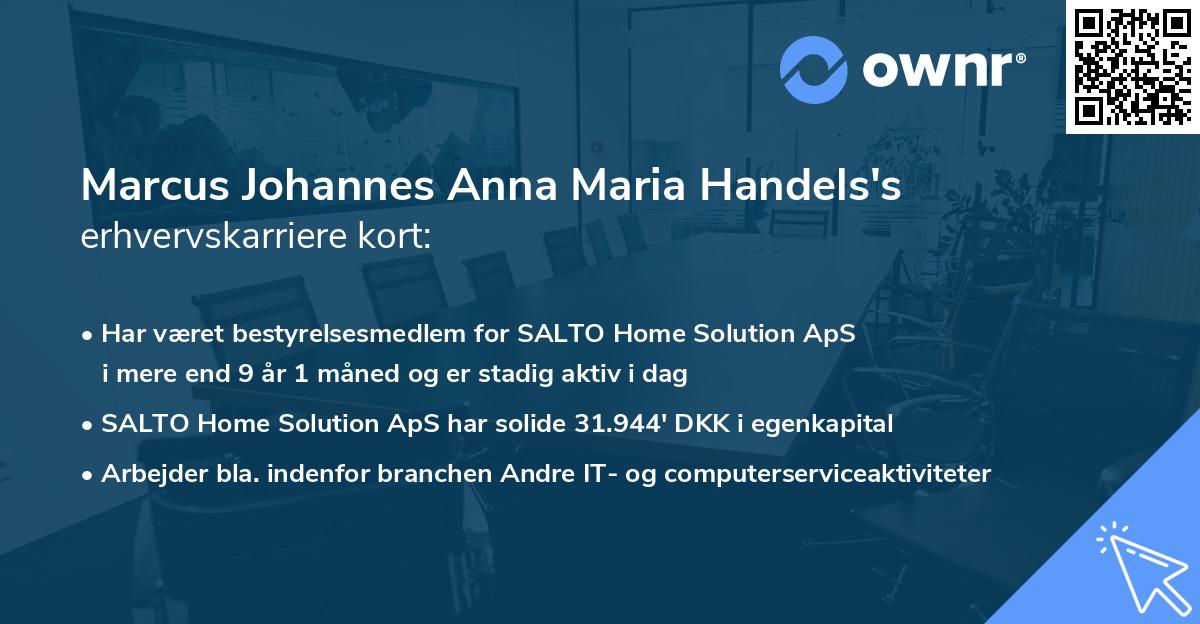 Marcus Johannes Anna Maria Handels's erhvervskarriere kort