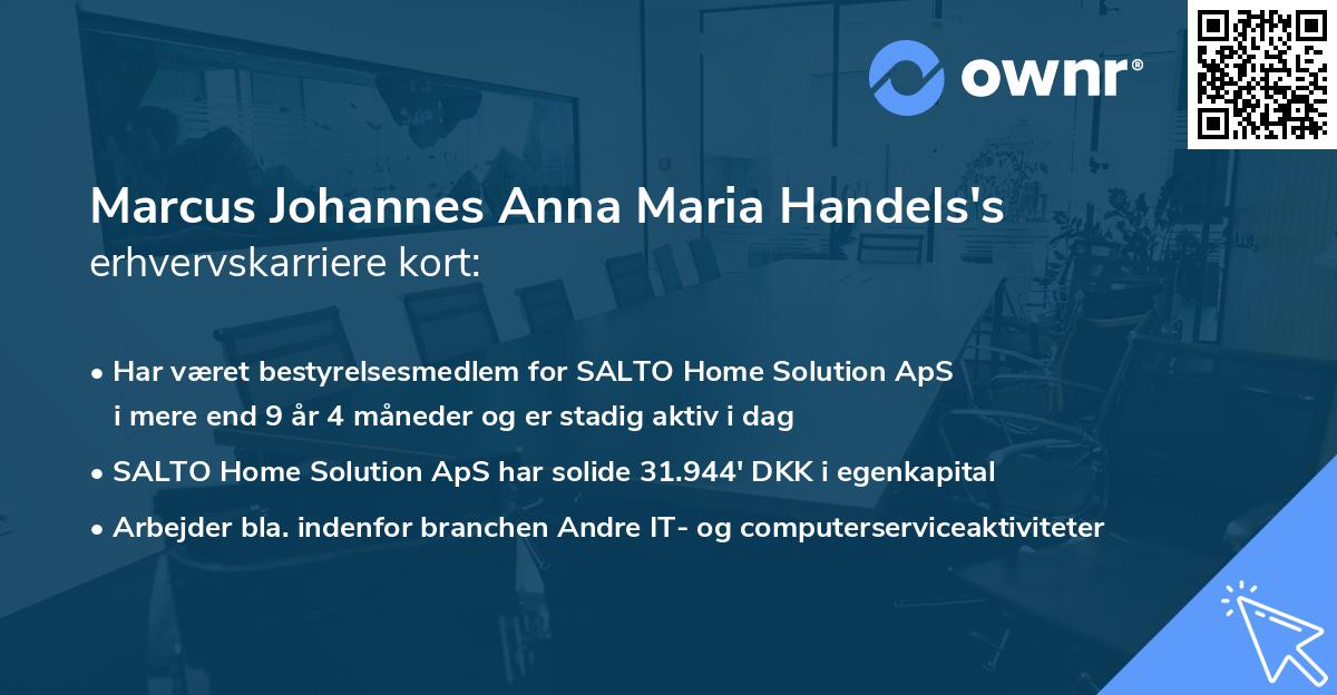 Marcus Johannes Anna Maria Handels's erhvervskarriere kort