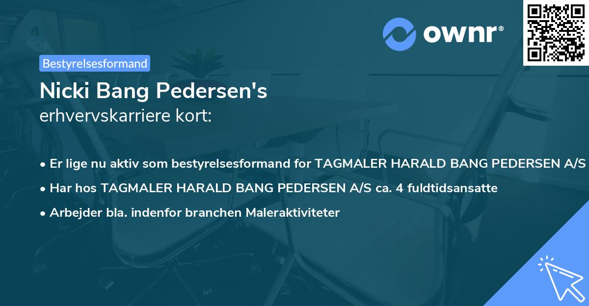 Nicki Bang Pedersen's erhvervskarriere kort