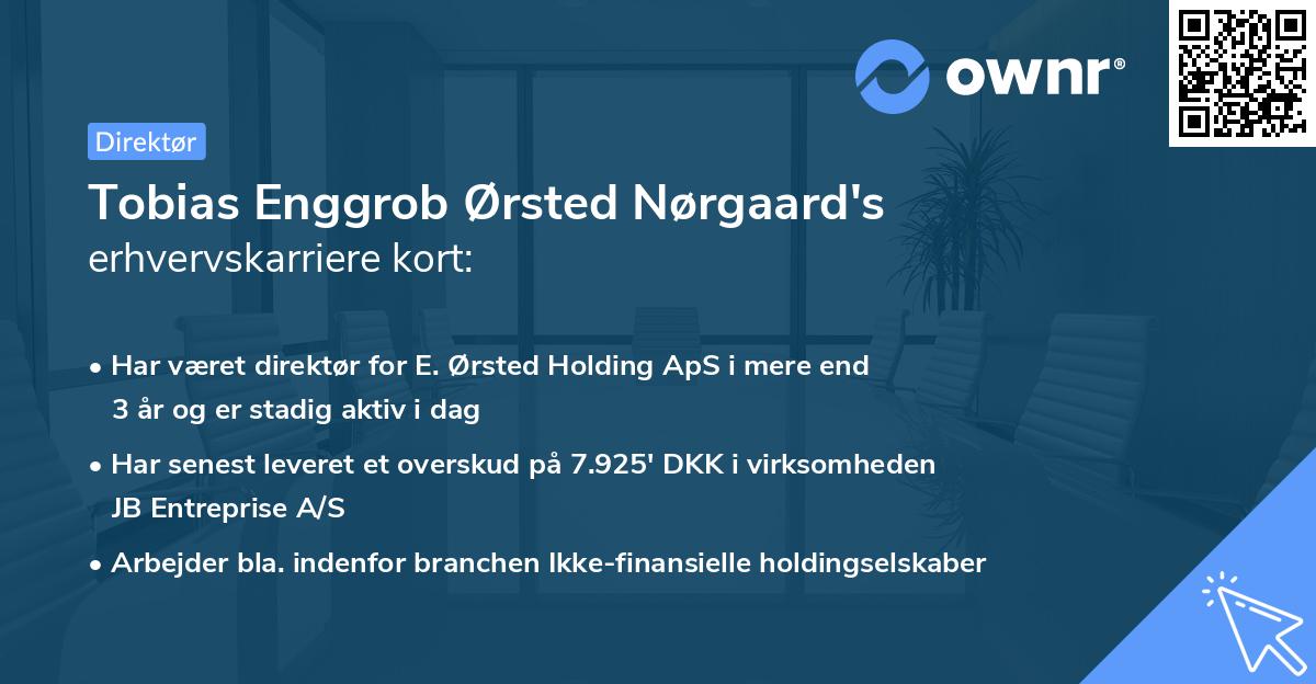 Tobias Enggrob Ørsted Nørgaard's erhvervskarriere kort