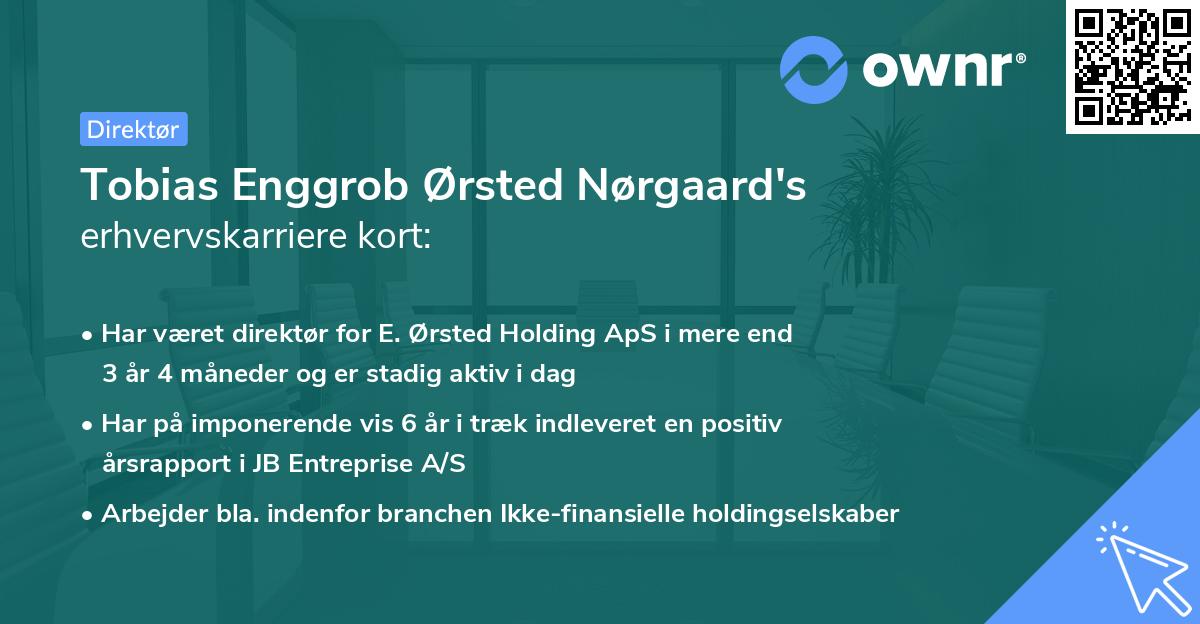 Tobias Enggrob Ørsted Nørgaard's erhvervskarriere kort