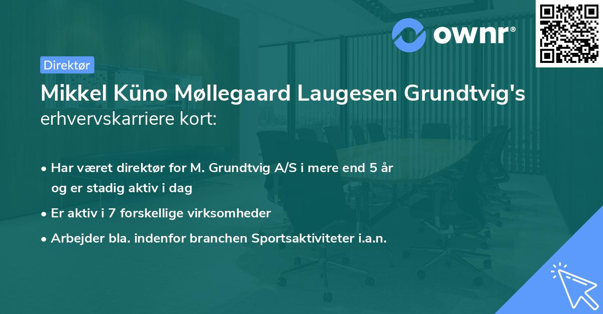 Mikkel Küno Møllegaard Laugesen Grundtvig's erhvervskarriere kort