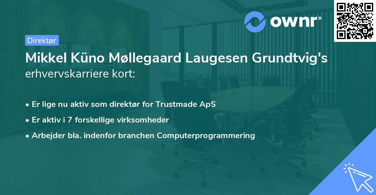 Mikkel Küno Møllegaard Laugesen Grundtvig's erhvervskarriere kort