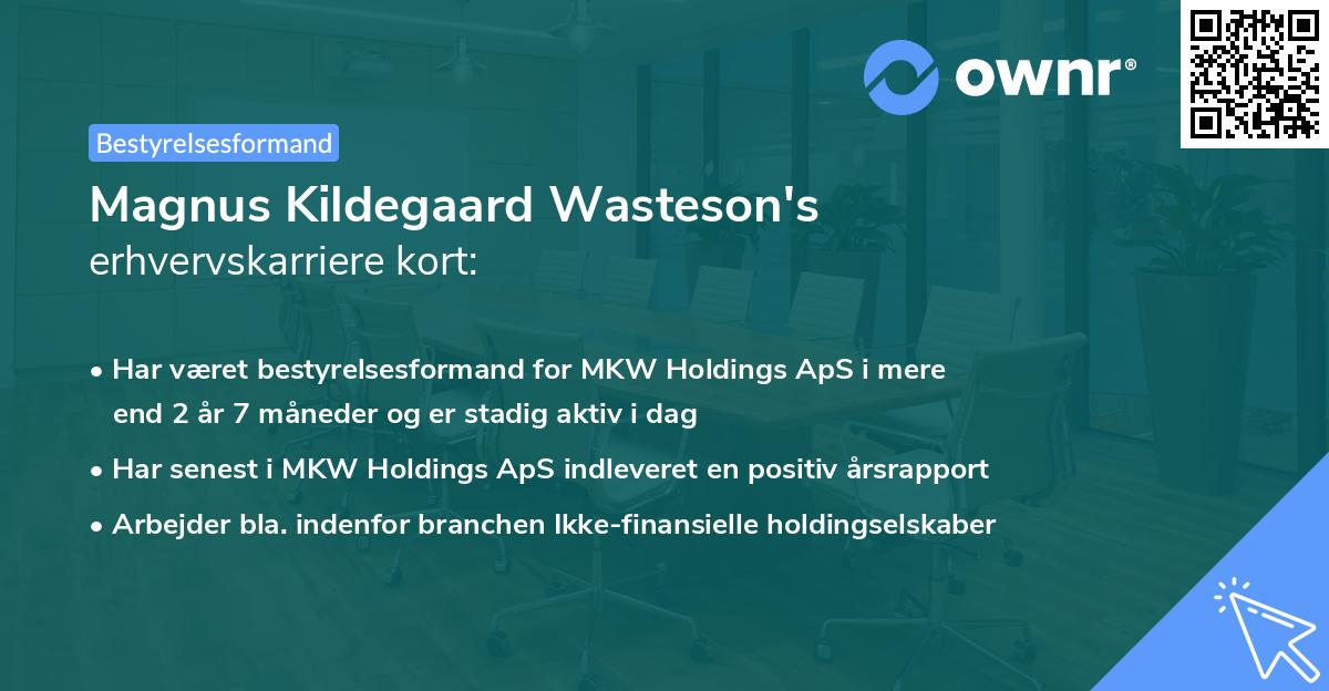 Magnus Kildegaard Wasteson's erhvervskarriere kort