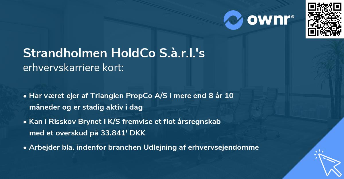Strandholmen HoldCo S.à.r.l.'s erhvervskarriere kort