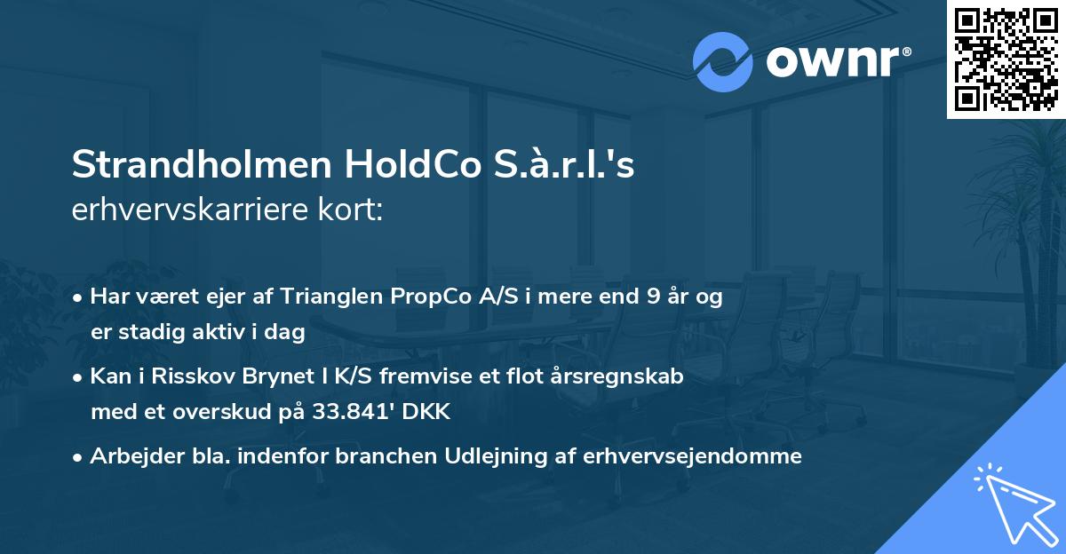 Strandholmen HoldCo S.à.r.l.'s erhvervskarriere kort