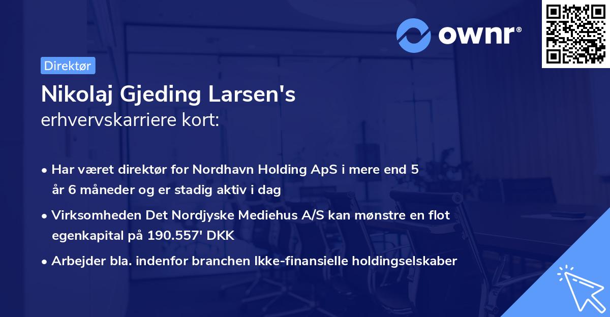 Nikolaj Gjeding Larsen's erhvervskarriere kort