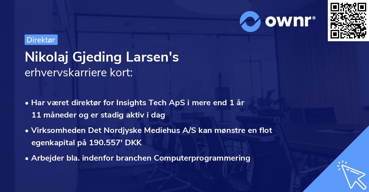 Nikolaj Gjeding Larsen's erhvervskarriere kort