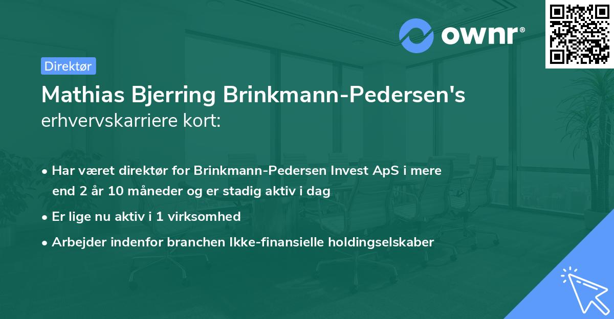 Mathias Bjerring Brinkmann-Pedersen's erhvervskarriere kort