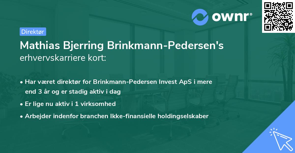 Mathias Bjerring Brinkmann-Pedersen's erhvervskarriere kort