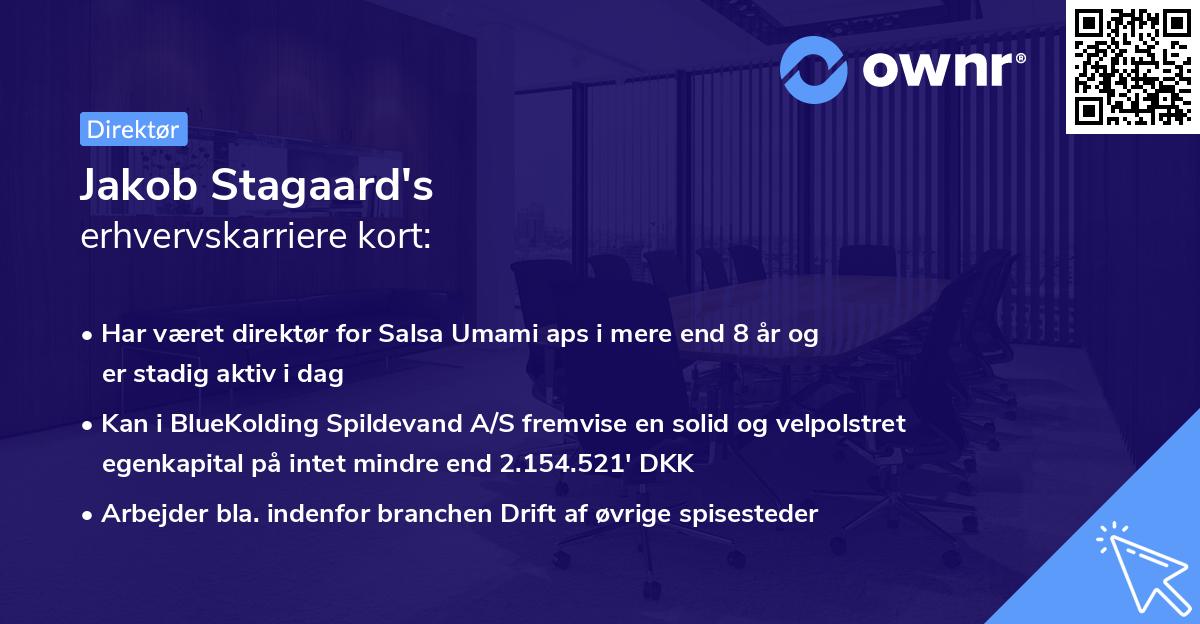 Jakob Stagaard's erhvervskarriere kort