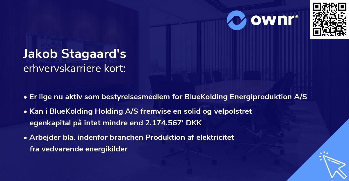 Jakob Stagaard's erhvervskarriere kort