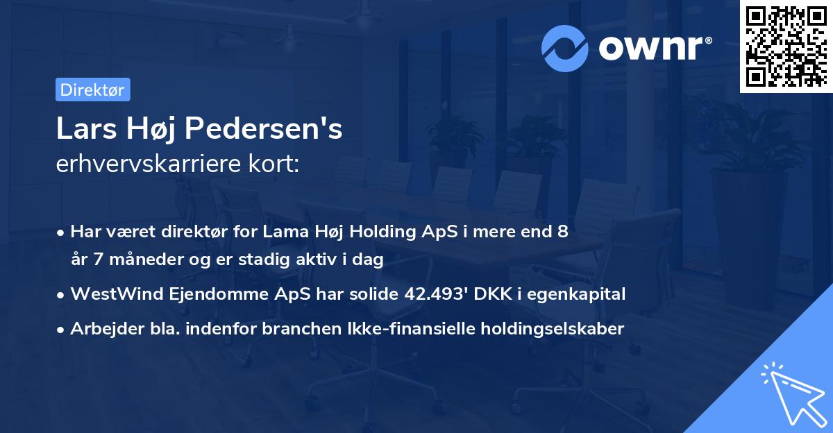 Lars Høj Pedersen's erhvervskarriere kort