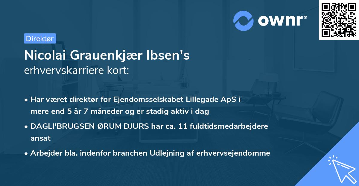 Nicolai Grauenkjær Ibsen's erhvervskarriere kort