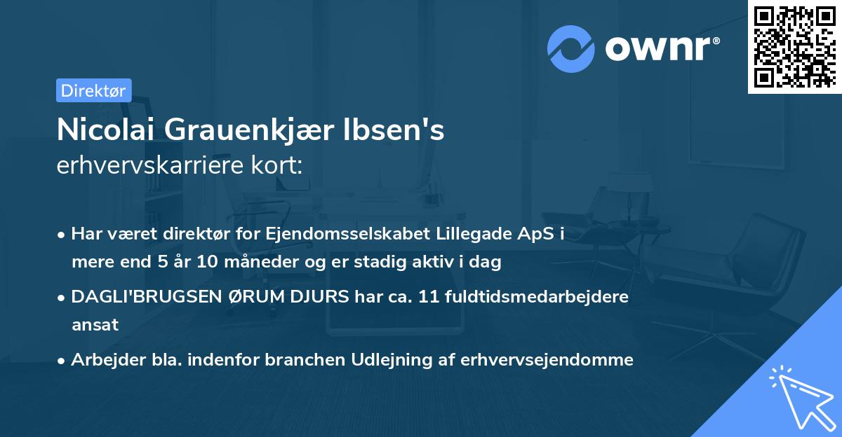 Nicolai Grauenkjær Ibsen's erhvervskarriere kort