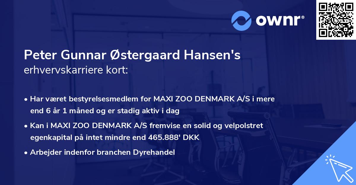 Peter Gunnar Østergaard Hansen's erhvervskarriere kort