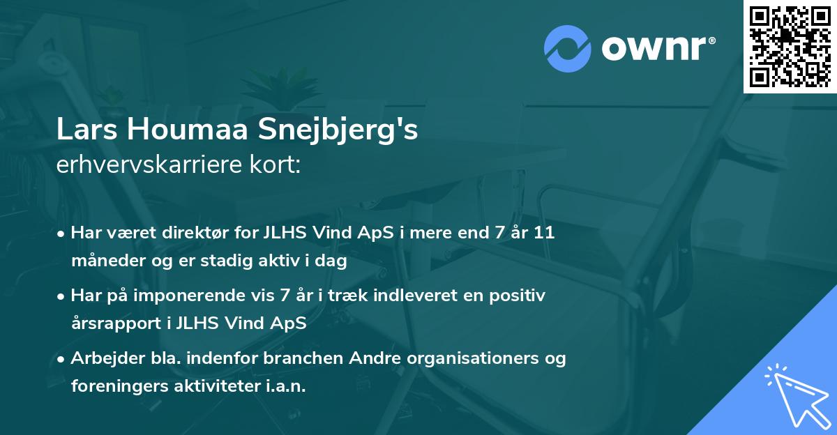 Lars Houmaa Snejbjerg's erhvervskarriere kort