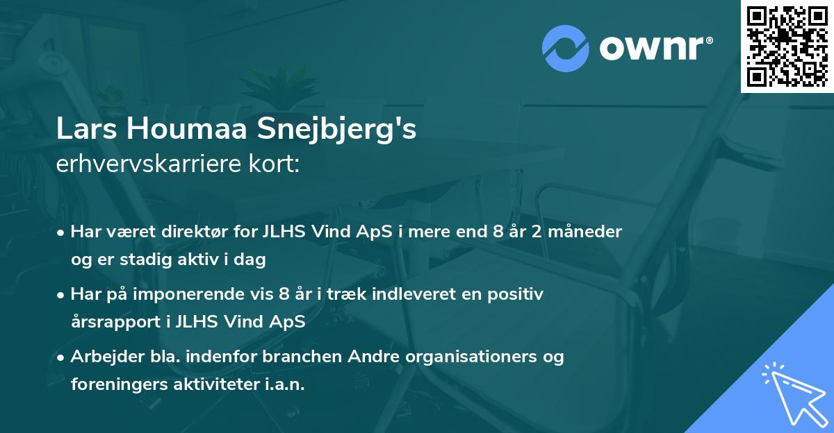 Lars Houmaa Snejbjerg's erhvervskarriere kort