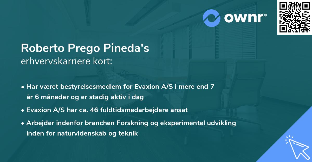 Roberto Prego Pineda's erhvervskarriere kort