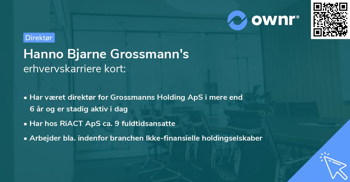 Hanno Bjarne Grossmann's erhvervskarriere kort