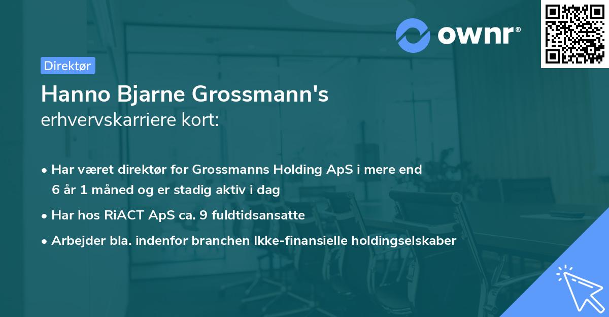 Hanno Bjarne Grossmann's erhvervskarriere kort