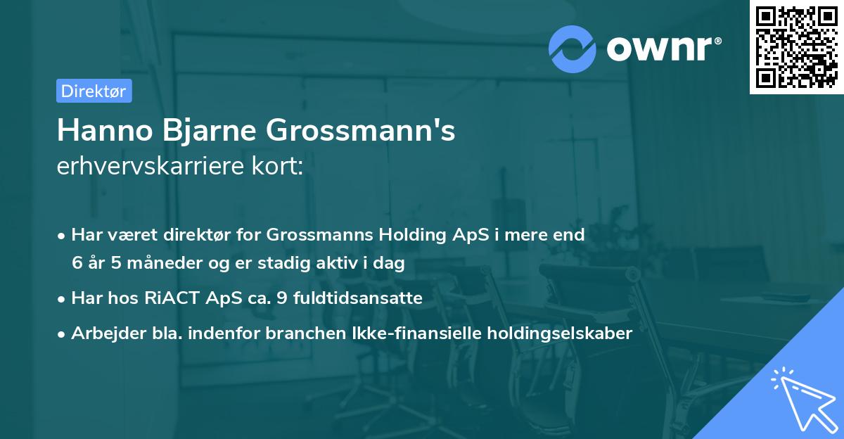 Hanno Bjarne Grossmann's erhvervskarriere kort
