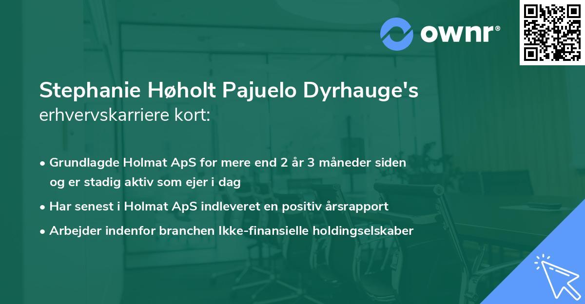 Stephanie Høholt Pajuelo Dyrhauge's erhvervskarriere kort