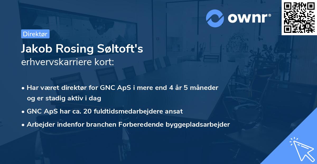 Jakob Rosing Søltoft's erhvervskarriere kort