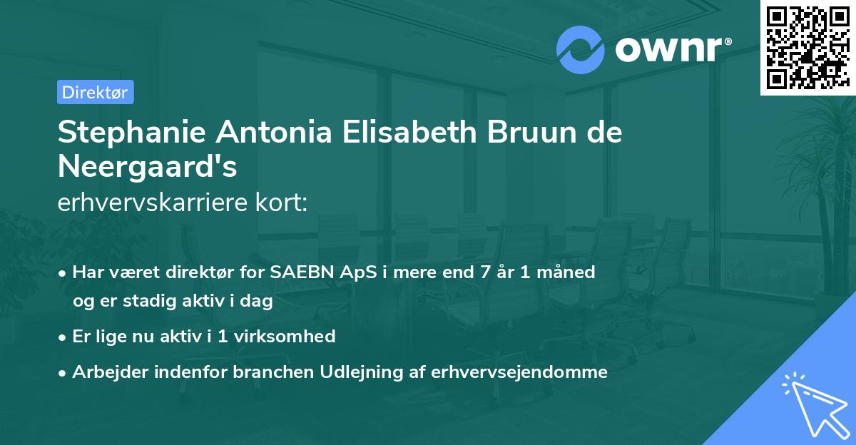 Stephanie Antonia Elisabeth Bruun de Neergaard's erhvervskarriere kort