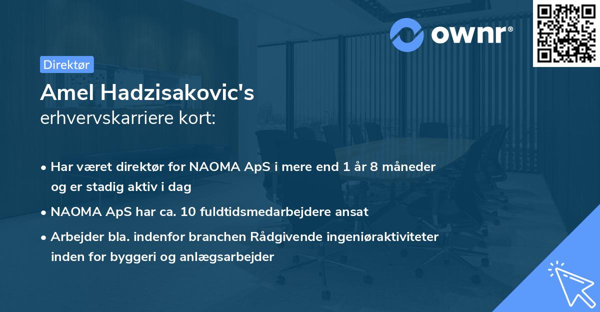 Amel Hadzisakovic's erhvervskarriere kort