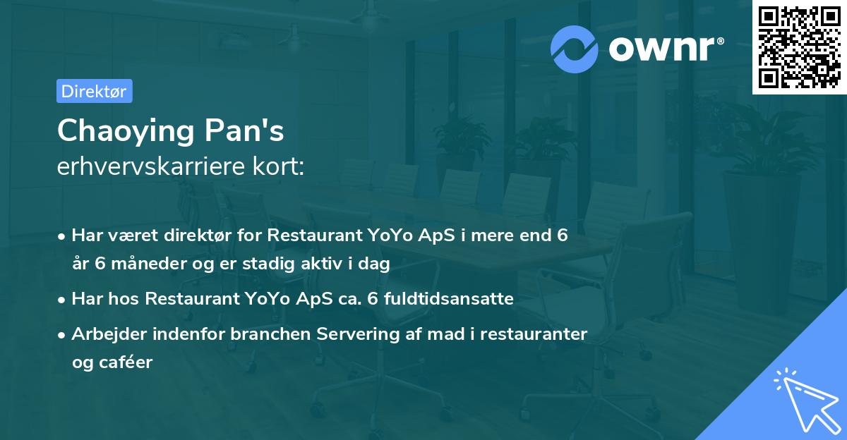 Chaoying Pan's erhvervskarriere kort