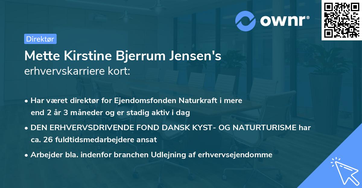 Mette Kirstine Bjerrum Jensen's erhvervskarriere kort