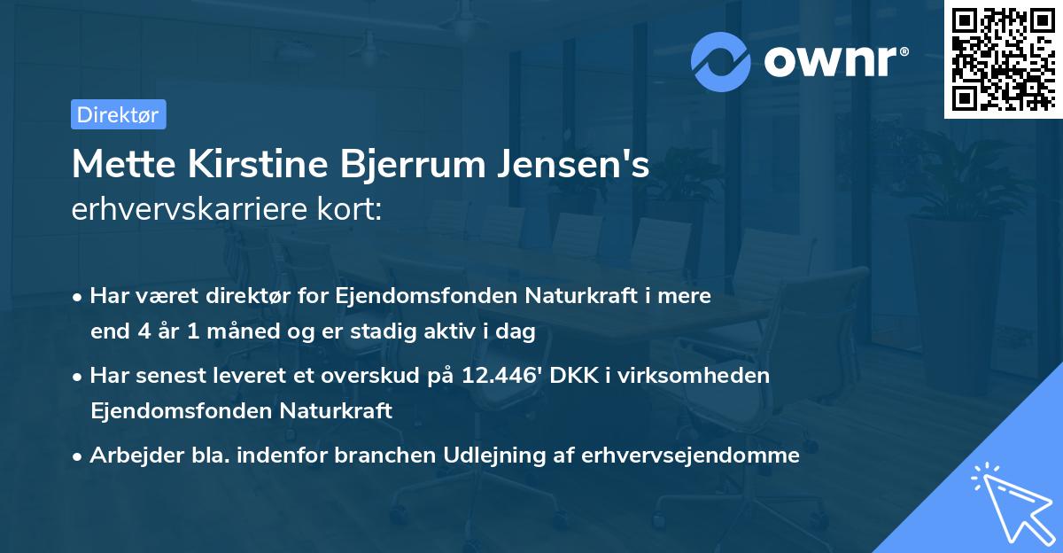 Mette Kirstine Bjerrum Jensen's erhvervskarriere kort