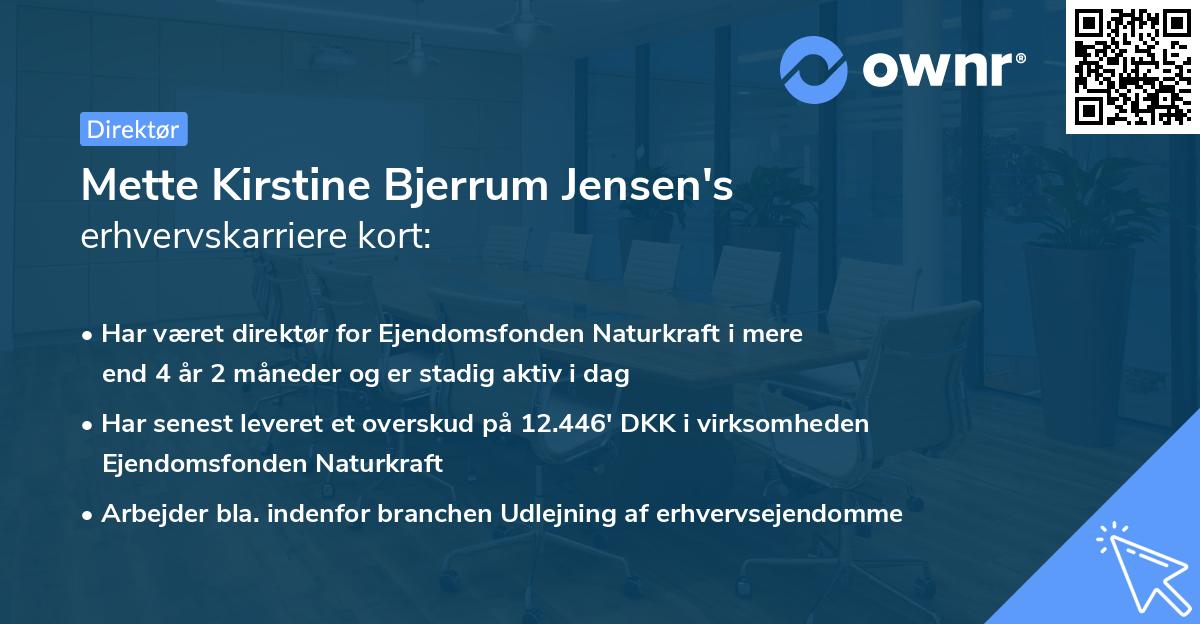 Mette Kirstine Bjerrum Jensen's erhvervskarriere kort