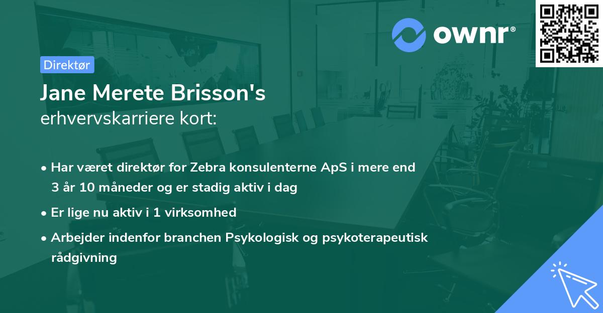 Jane Merete Brisson's erhvervskarriere kort