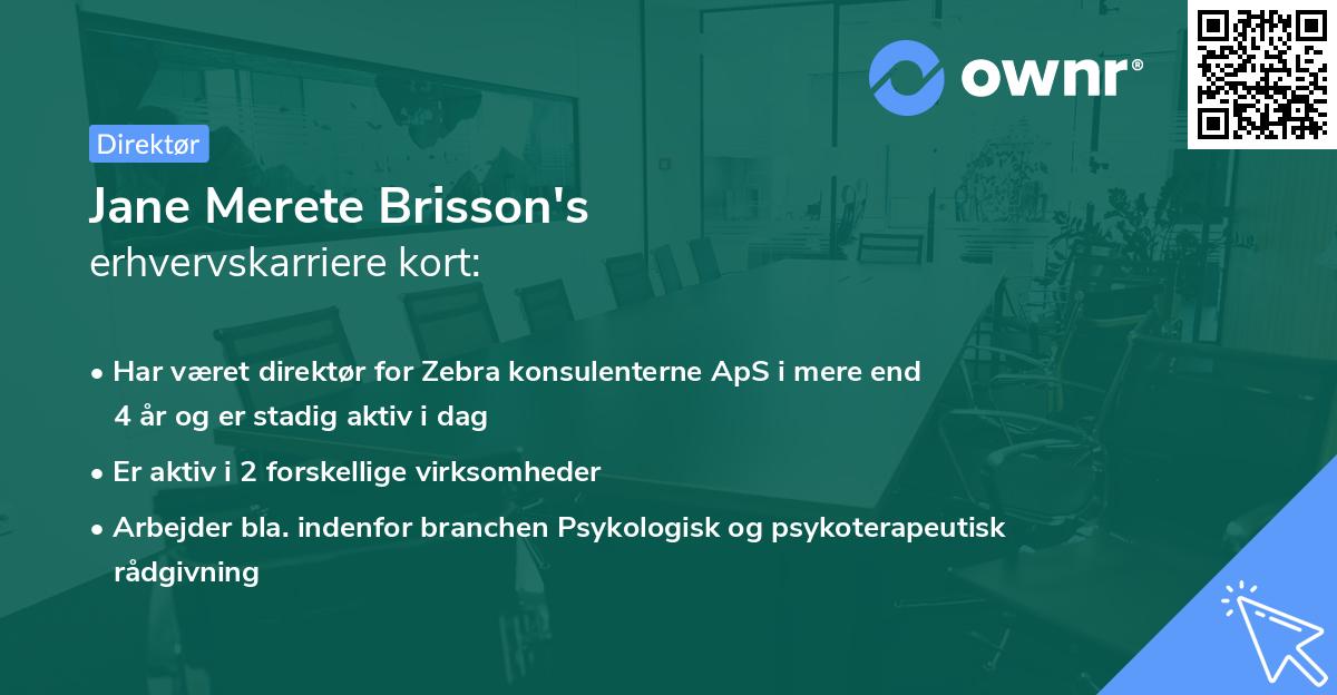 Jane Merete Brisson's erhvervskarriere kort