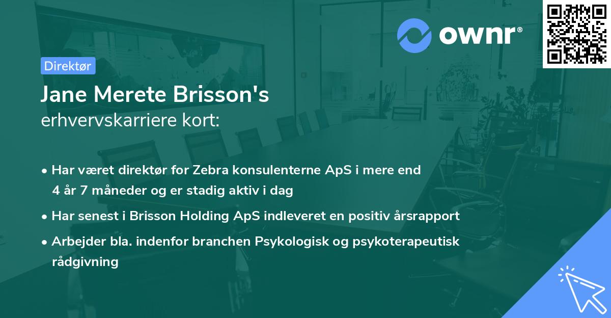 Jane Merete Brisson's erhvervskarriere kort