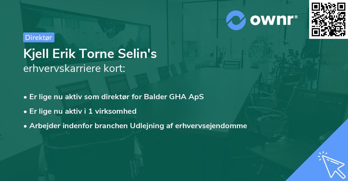 Kjell Erik Torne Selin's erhvervskarriere kort