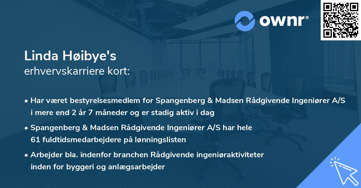 Linda Høibye's erhvervskarriere kort