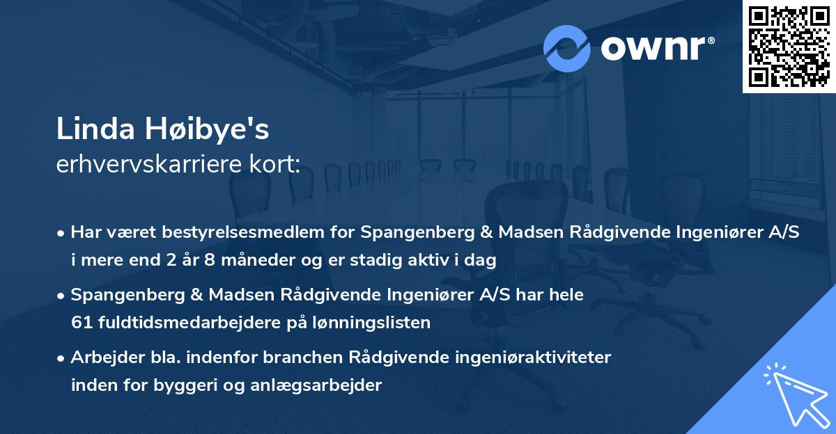 Linda Høibye's erhvervskarriere kort