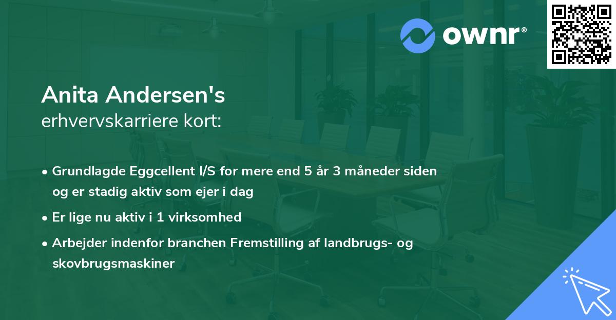 Anita Andersen's erhvervskarriere kort