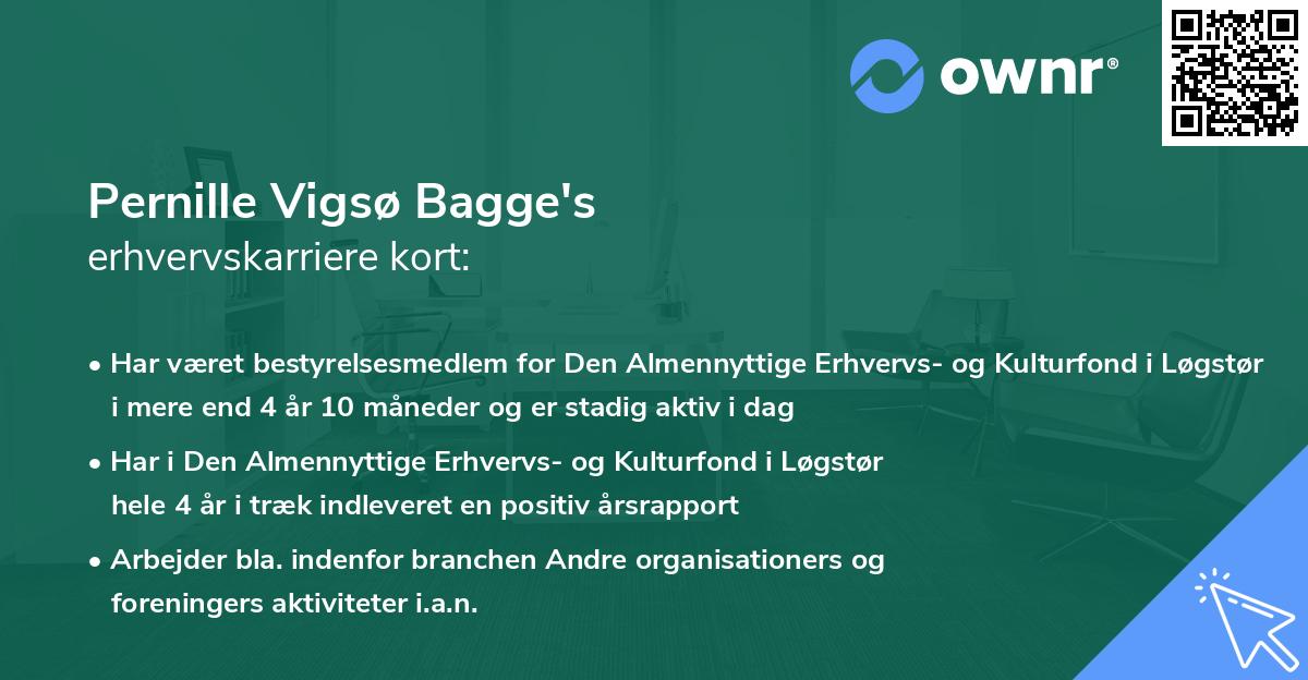 Pernille Vigsø Bagge's erhvervskarriere kort