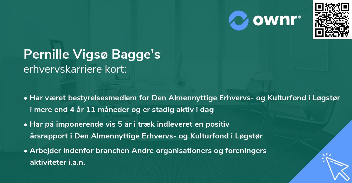 Pernille Vigsø Bagge's erhvervskarriere kort