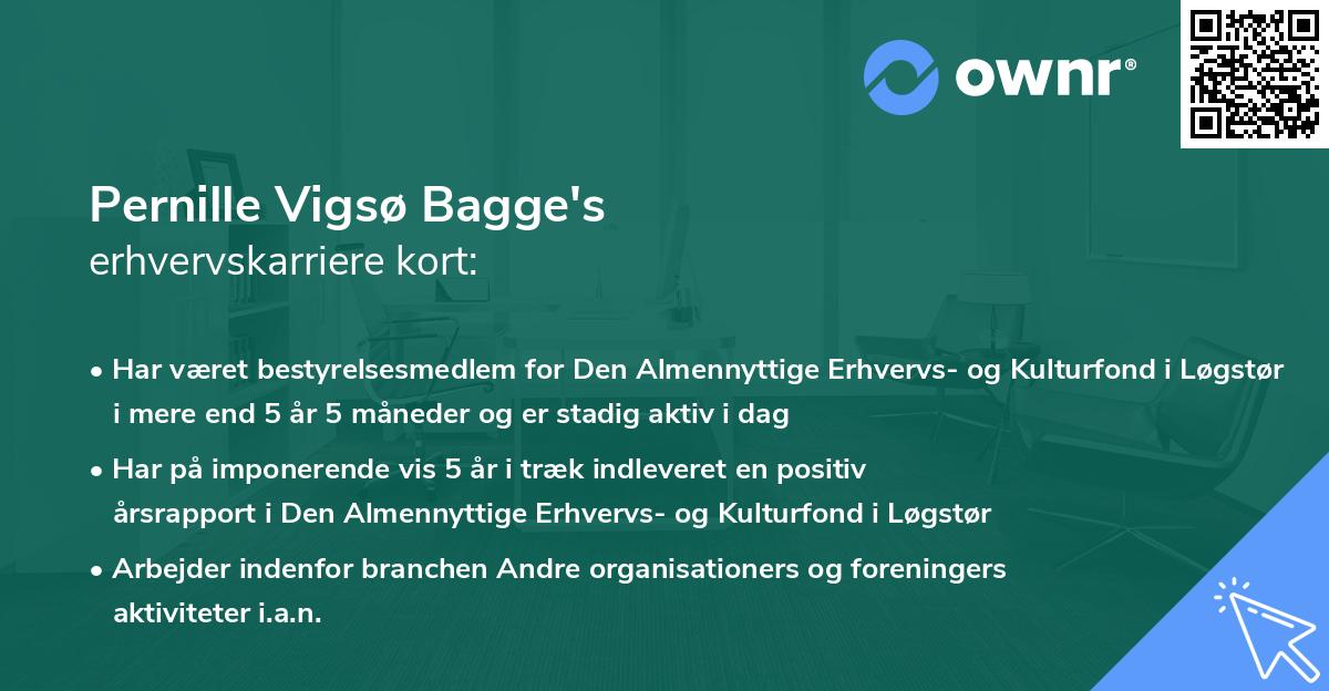 Pernille Vigsø Bagge's erhvervskarriere kort