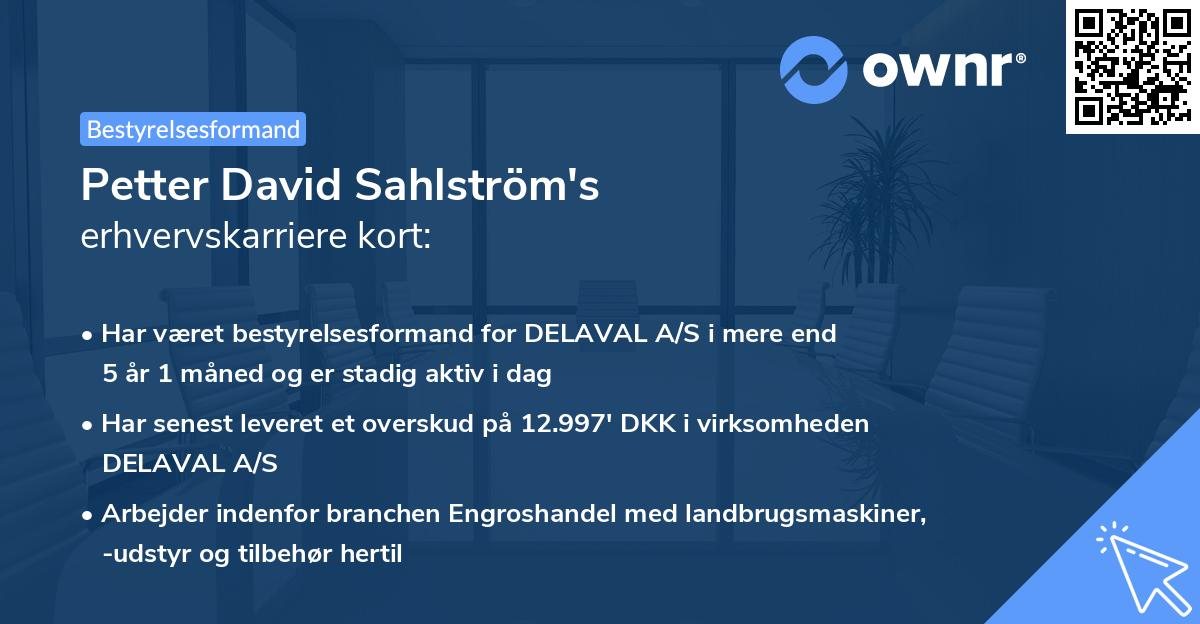Petter David Sahlström's erhvervskarriere kort